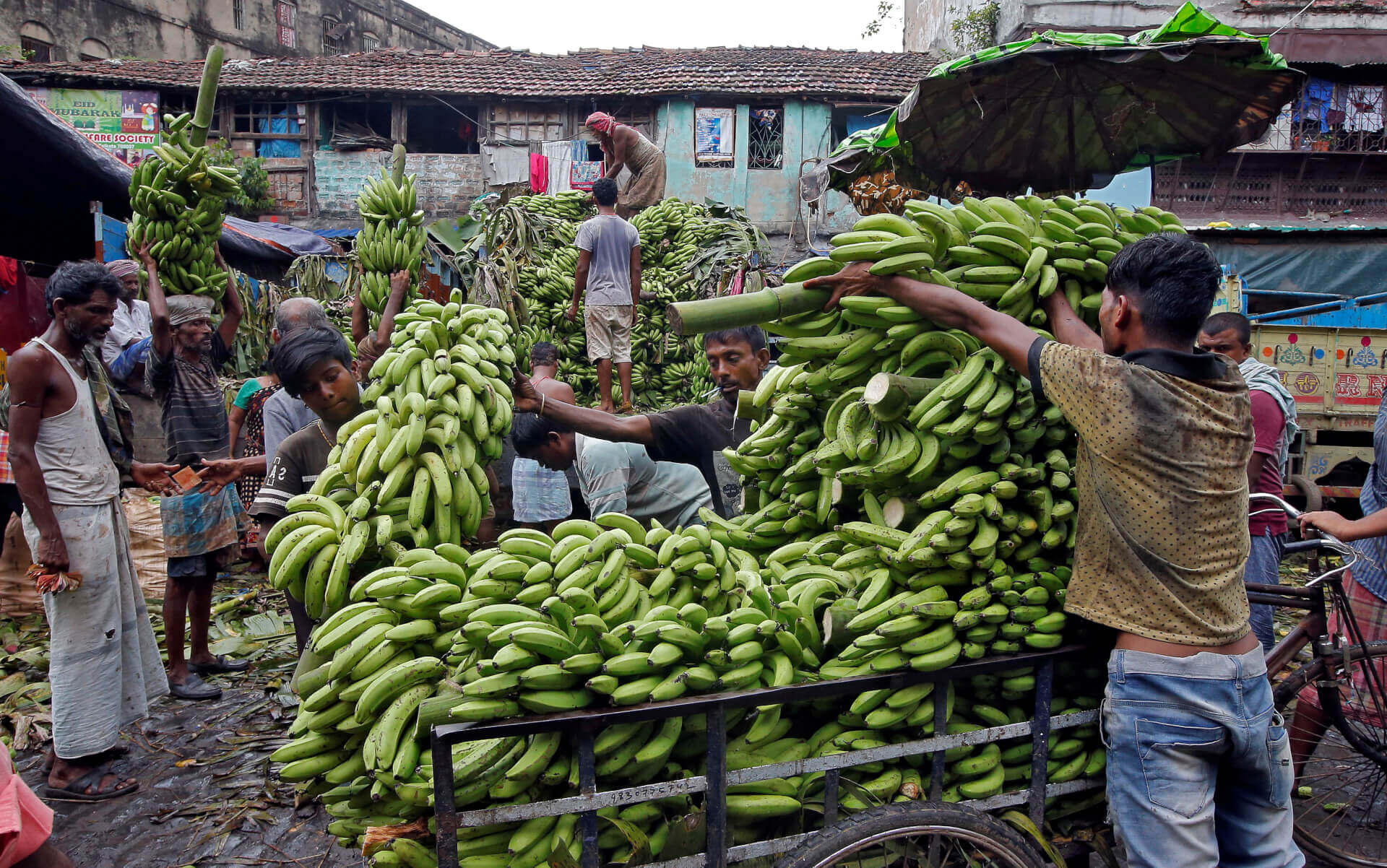 Russia Imports First Batch of Bananas from India Amid Spat with Ecuador Over Military Hardware