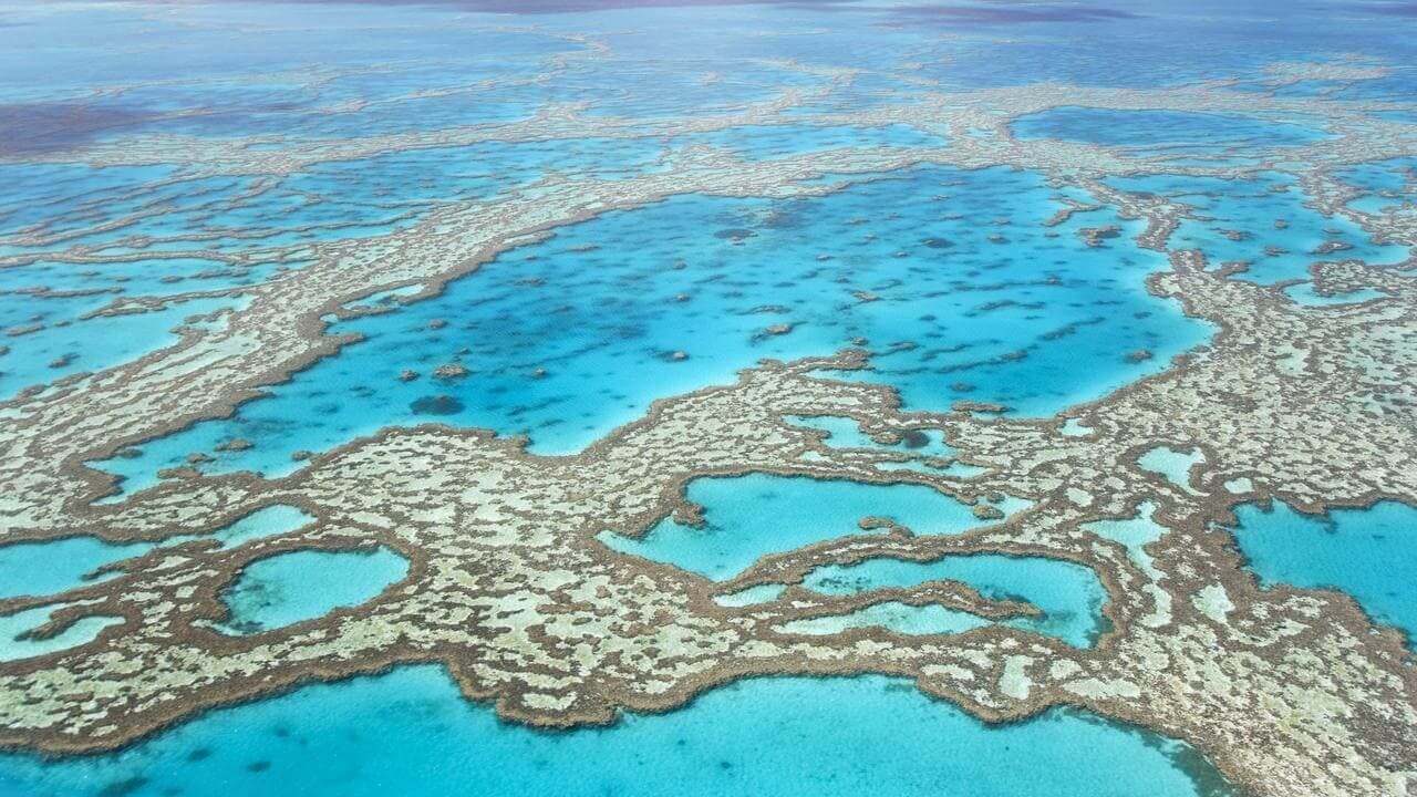 China Demands Australia Improve its Environment Record Amid Spat Over Great Barrier Reef