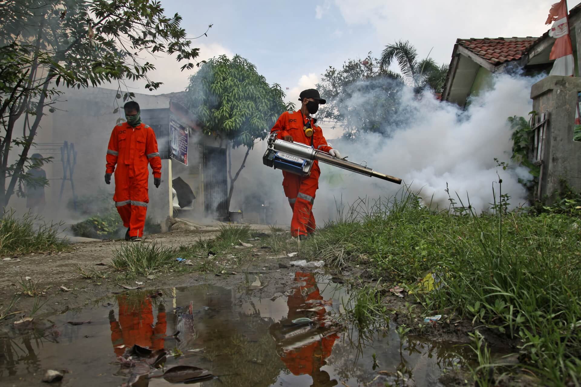 Climate Change is Rapidly Exacerbating South Asia’s Dengue Crisis