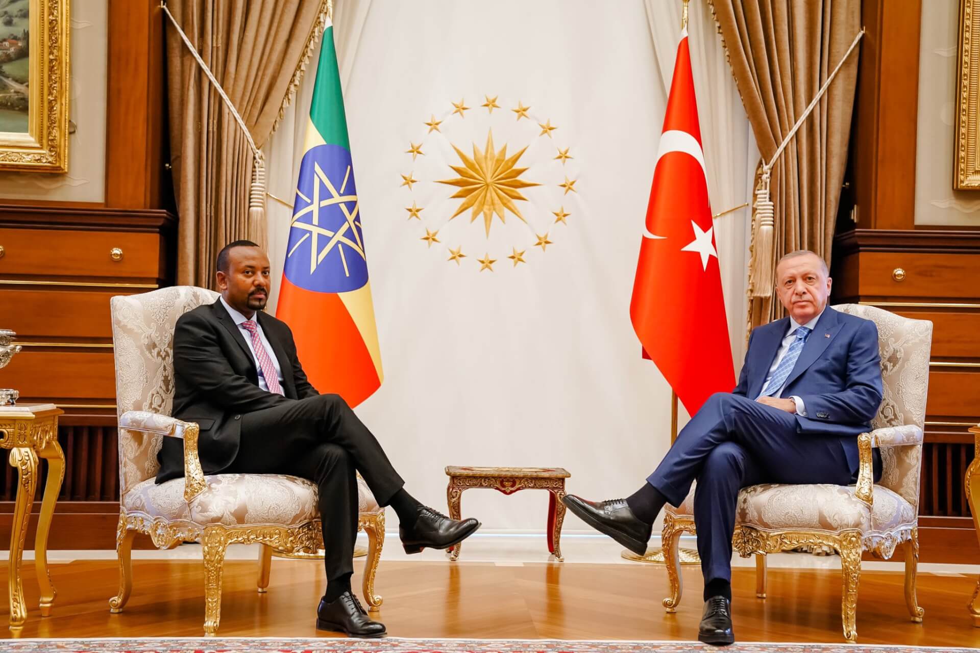 Turkey Backs Peaceful Resolution of Tigray Crisis, Seeks More Investments in Ethiopia