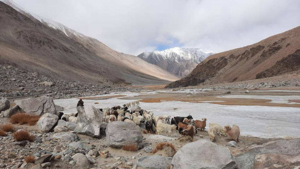 Indian Graziers Defy PLA Soldiers Asking Them to Leave ‘Chinese Territory’ in Ladakh