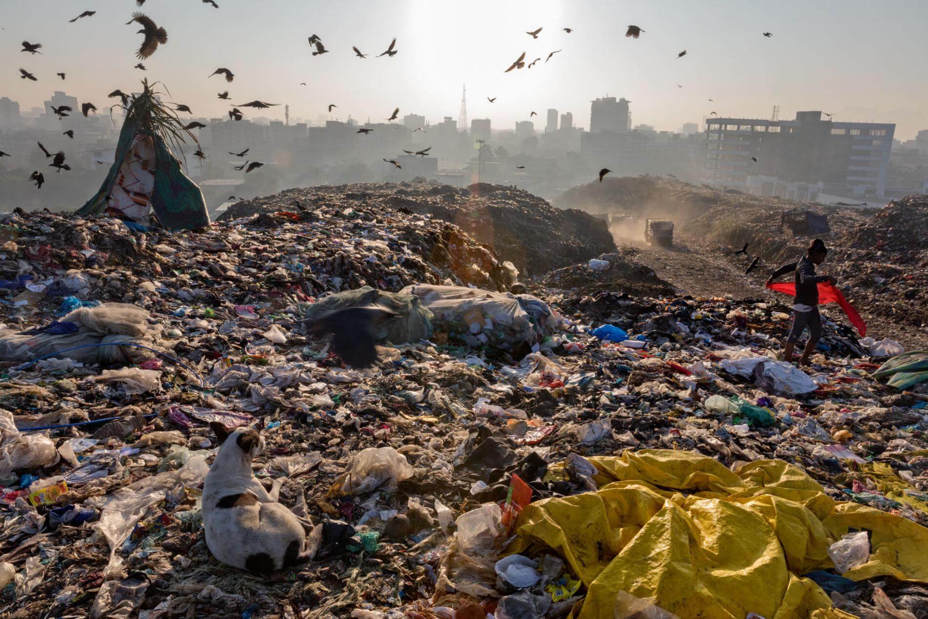 EU Bans Export of Hazardous Plastic Waste to Non-OECD Countries