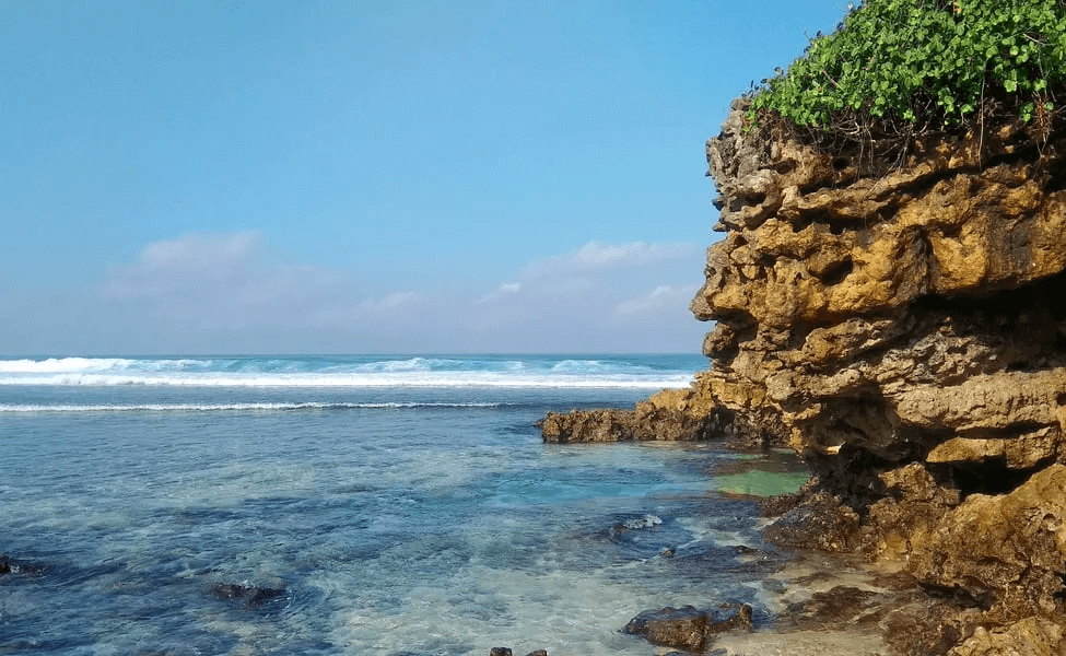Study Near Goa Coast in India Provides Breakthrough in Global Marine Protection