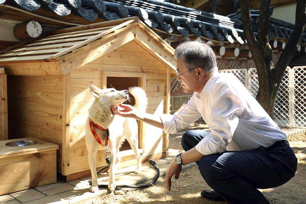 Ex-S. Korea Pres. Moon Desperately Tries to Keep Dogs Gifted by N. Korean Dictator Kim