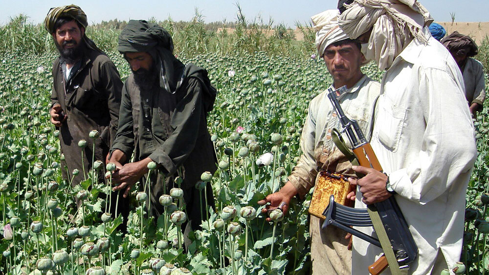 The Taliban is Unlikely to Keep its Pledge to Ban Drugs