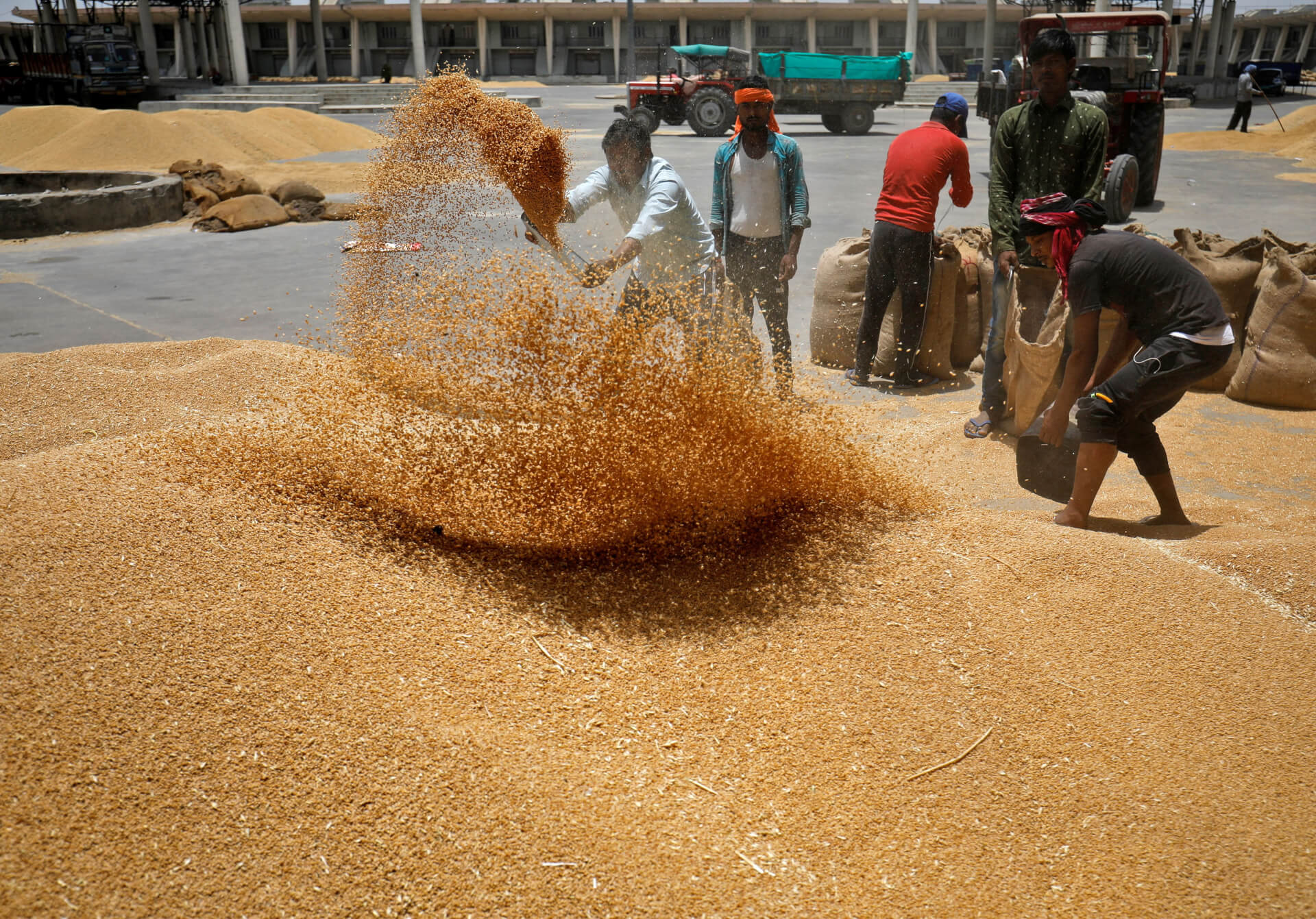 India Negotiating Discounted Wheat from Russia to Reduce Inflation: Reuters