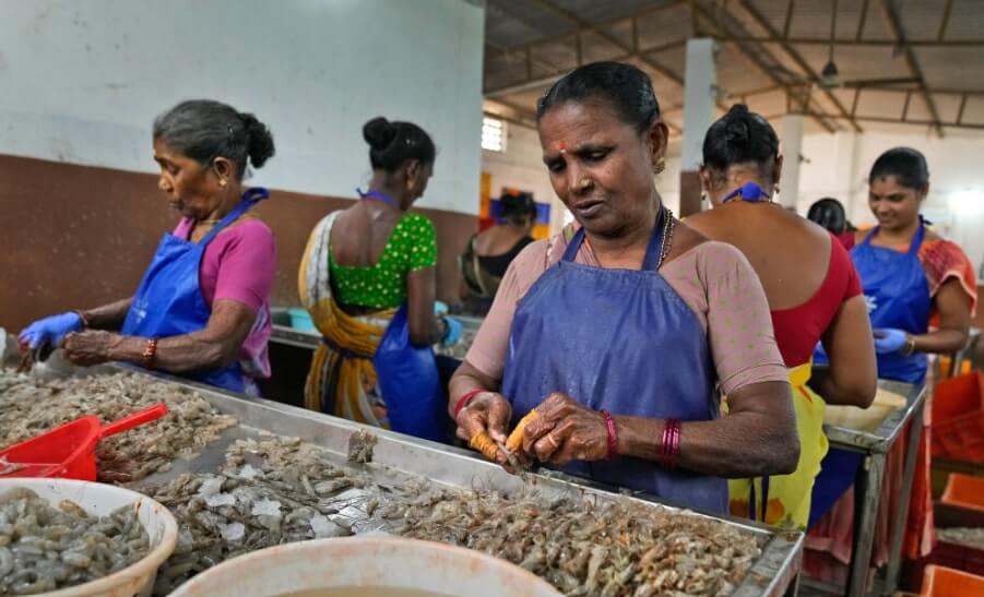 India Dismisses US Report Alleging Human Rights Abuses, Environmental Violations in Shrimp Industry