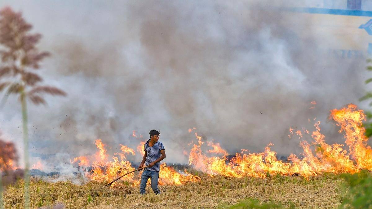 India Faces a Dual Challenge as the Crop Burning Season Coincides with the Pandemic