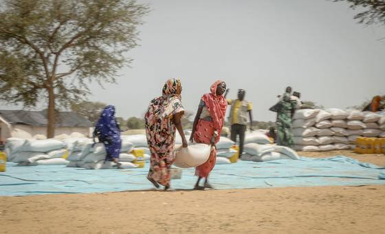 Nearly 4 Million People Displaced Due to Sudan Conflict: UN