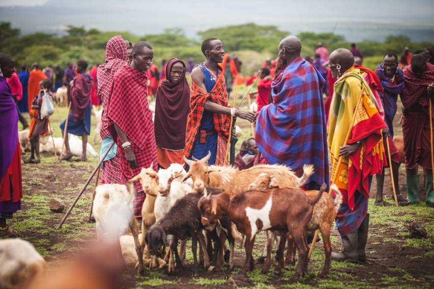 The Maasai in Kenya have closed down their livestock markets.