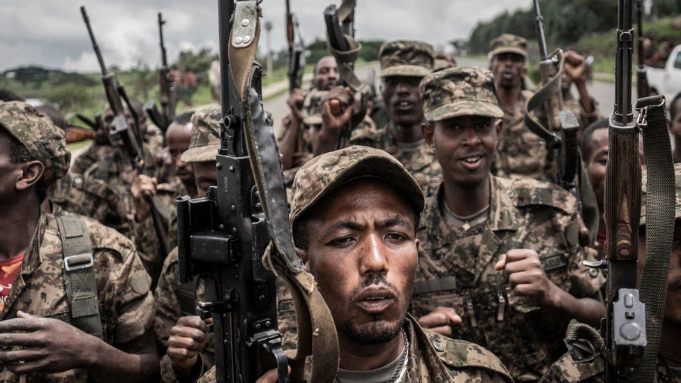 Ethiopian forces have been figghting the TPLF rebels for over a year now.