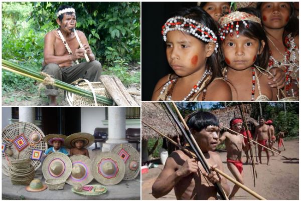 The Yukpa tribe accounted for the first two COVID-19 cases among Colombia's Indigenous population.